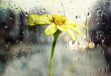 THANK YOU LORD FOR THE RAIN IN ALBUQUERQUE! I WILL PRAISE YOU IN THE RAIN!