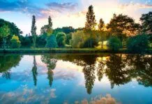 Be Renewed in the Mind and Heart