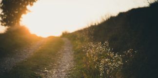 The Path of the Righteous