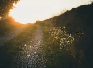 The Path of the Righteous