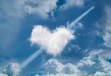 Sunday Devotional: Why Grieving Hearts Need Patience