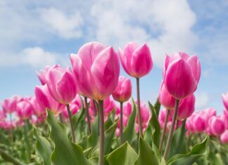 Remembering and Recounting God’s Blessings