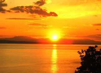 Perfect Peace