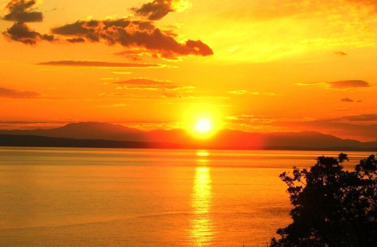 Perfect Peace