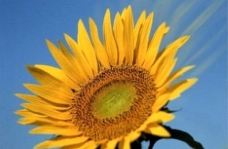 The Door To Freedom… Angel’s Prayer Of The Day