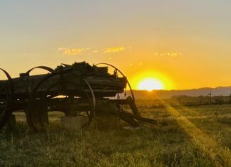 Terrible Times In These Last Days