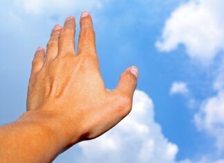 Seek, Find, and Celebrate