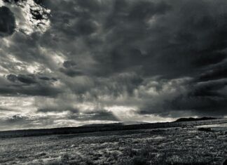 Go into all the world and proclaim the gospel…