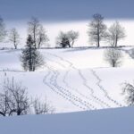 God Moves Even In The Wilderness… Angel’s Prayer Of The Day