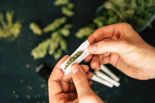pot 2022