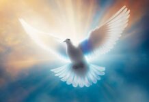 “Peace I Leave With You”